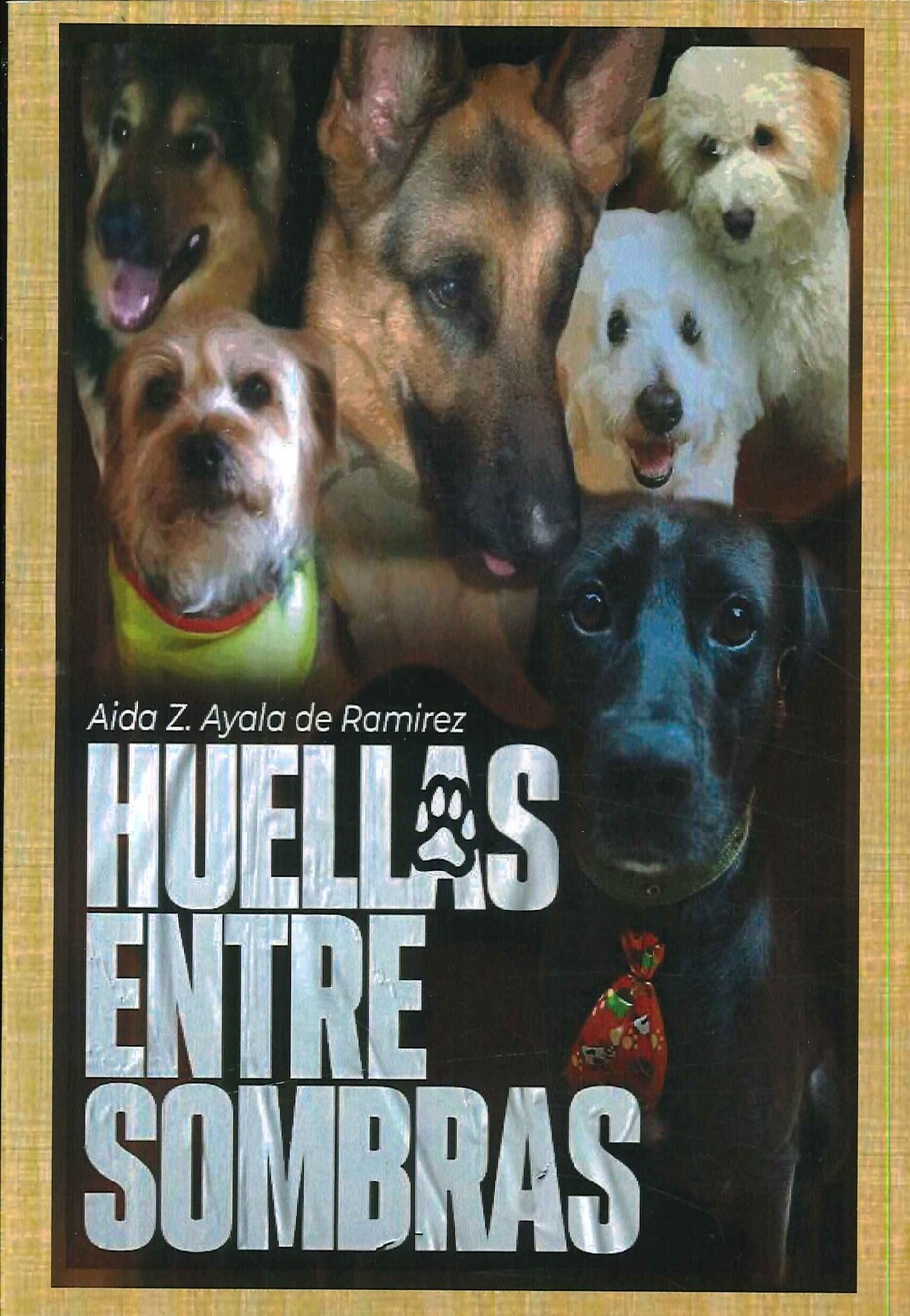 Huellas entre sombras