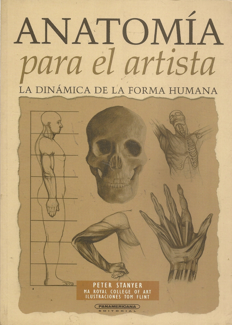 Anatoma para el artista