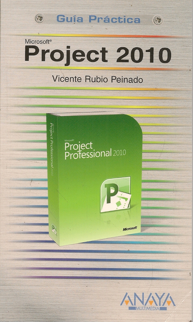 Microsoft Project 2010