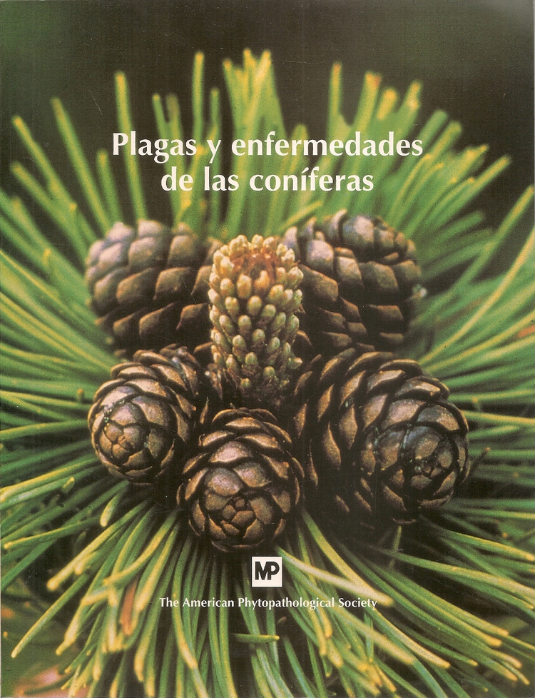 Plagas y enfermedades de las conferas