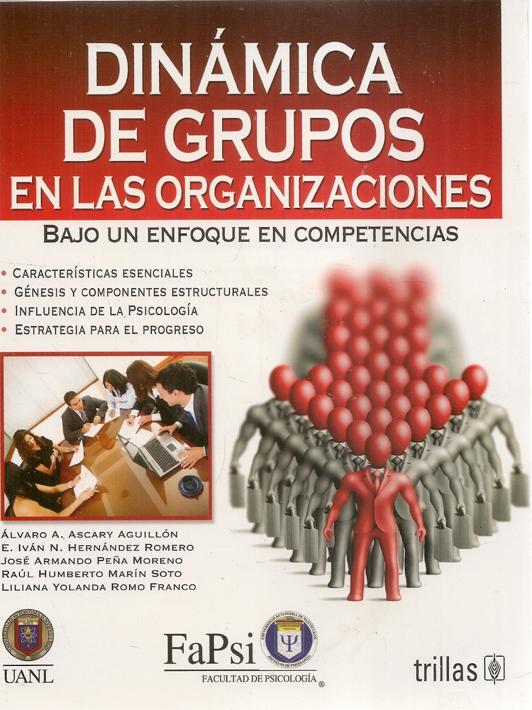 Dinmica de Grupos en las organizaciones