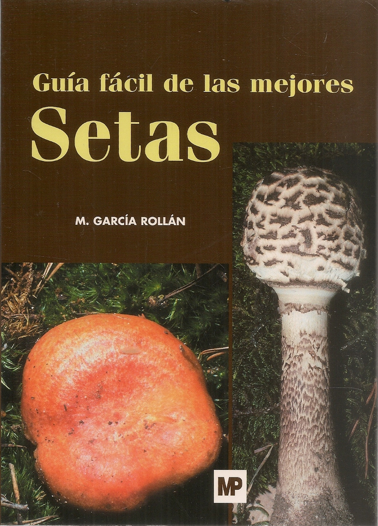 Gu�a facil de las mejores Setas