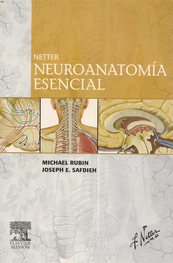 Neuroanatomia esencial Netter