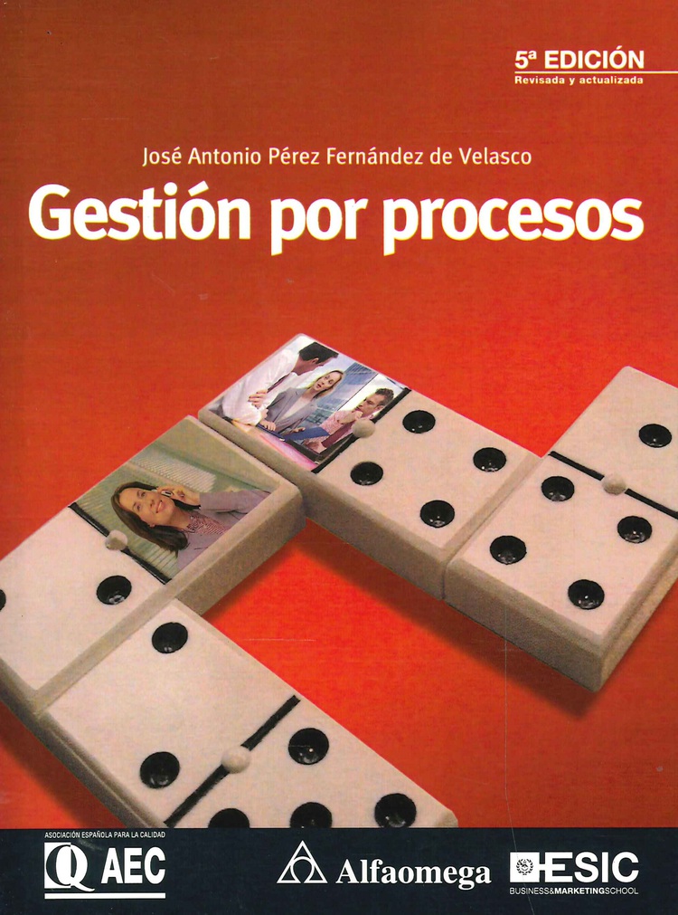 Gesti�n por Procesos